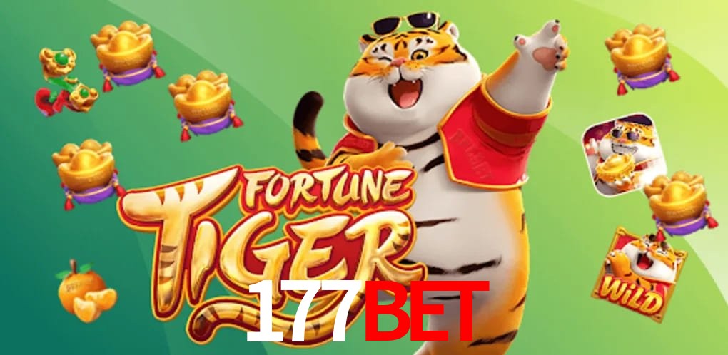 Statistics 177bet